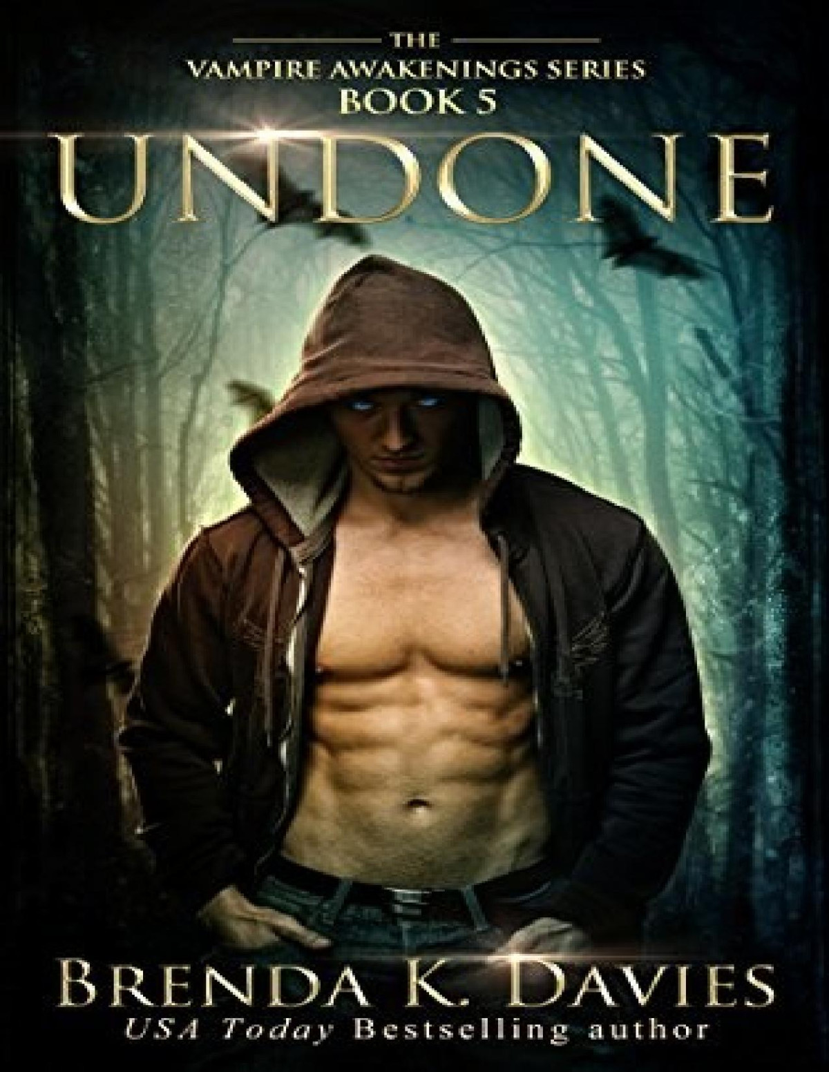 Undone Vampire Awakenings Book 5 Brenda K Davies Davies