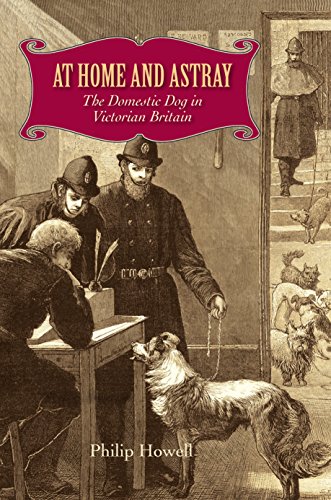 At Home And Astray The Domestic Dog In Victorian Britain Philip Howell