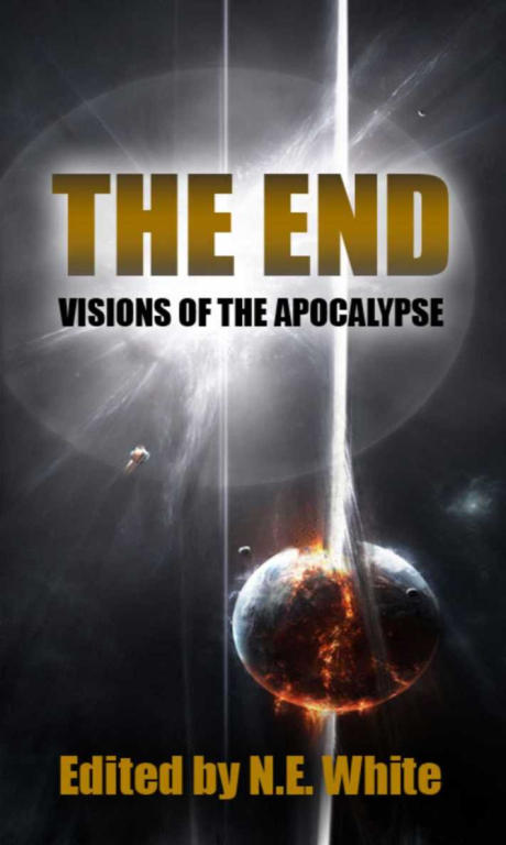 The End Visions Of Apocalypse N E White Ed