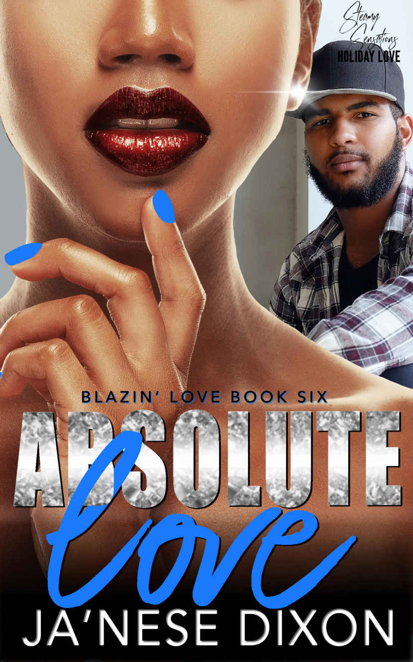 Absolute Love A Second Chance Romance Blazin Love Book 6 Janese Dixon Dixon