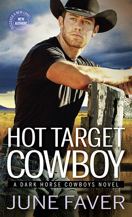 Hot Target Cowboy Dark Horse Cowboys 2 1st Edition June Faver