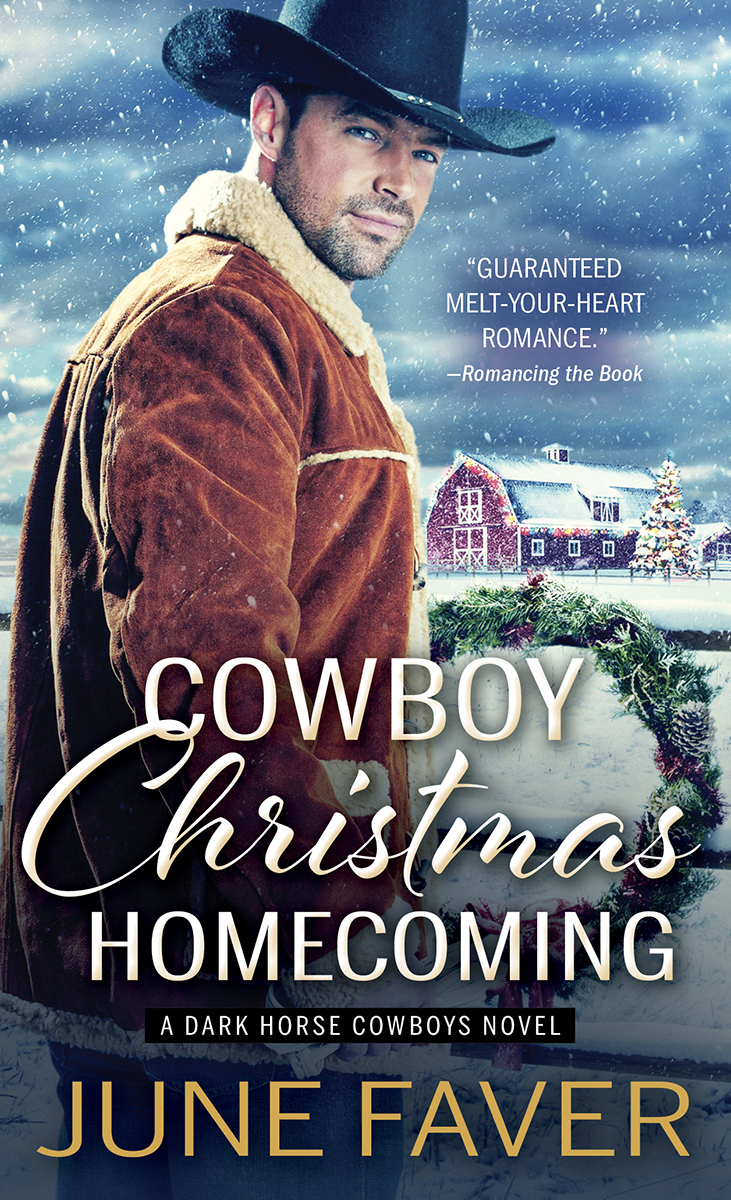 Cowboy Christmas Homecoming Dark Horse Cowboys 4 1st Edition June Faver