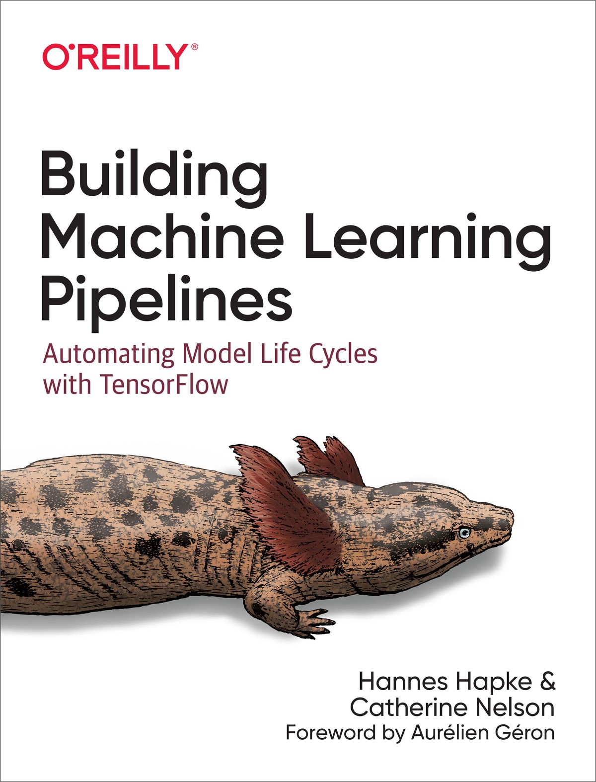 Building Machine Learning Pipelines Hannes Hapke