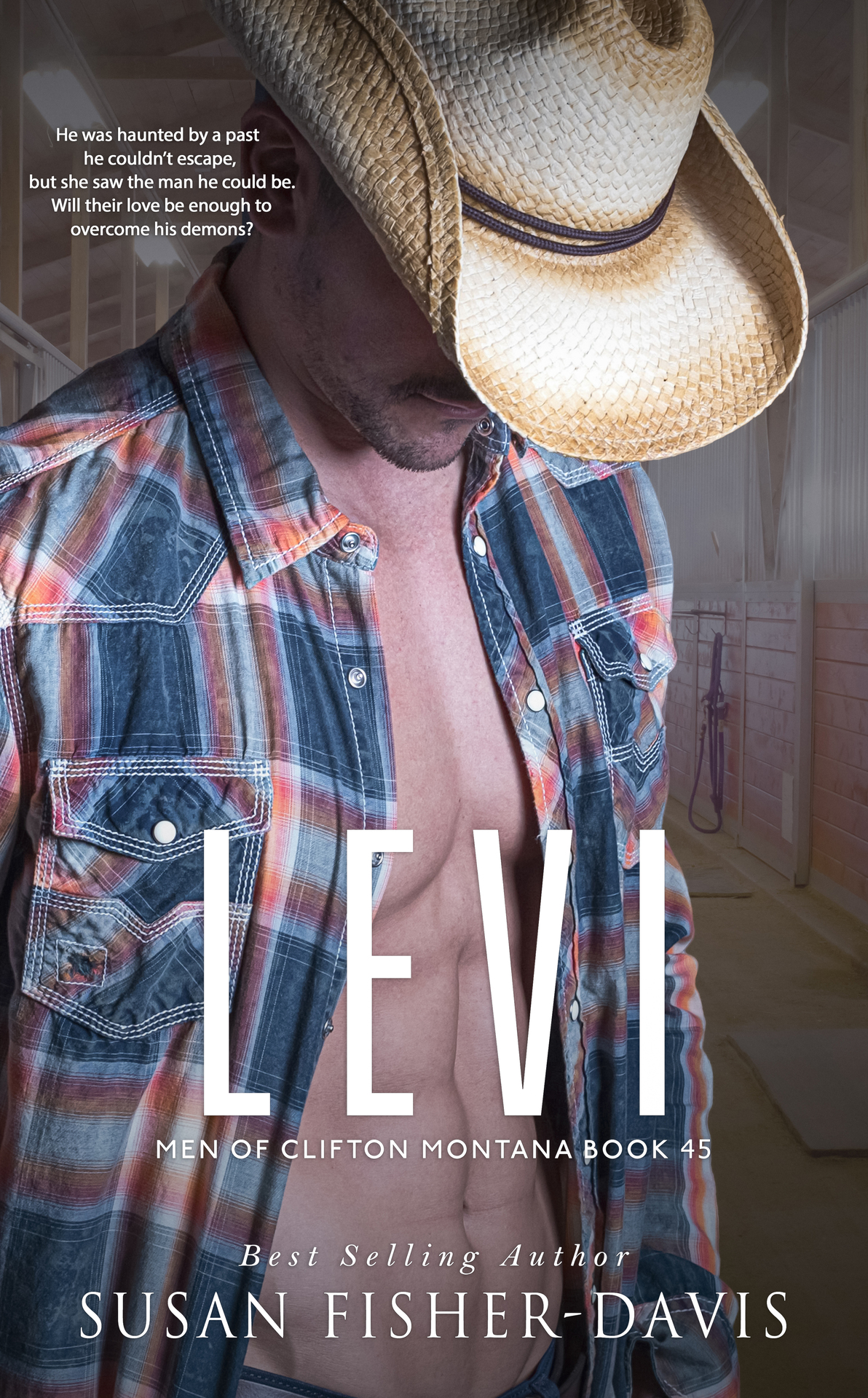 Levi Men Of Clifton Montana Book 45 Susan Fisherdavis