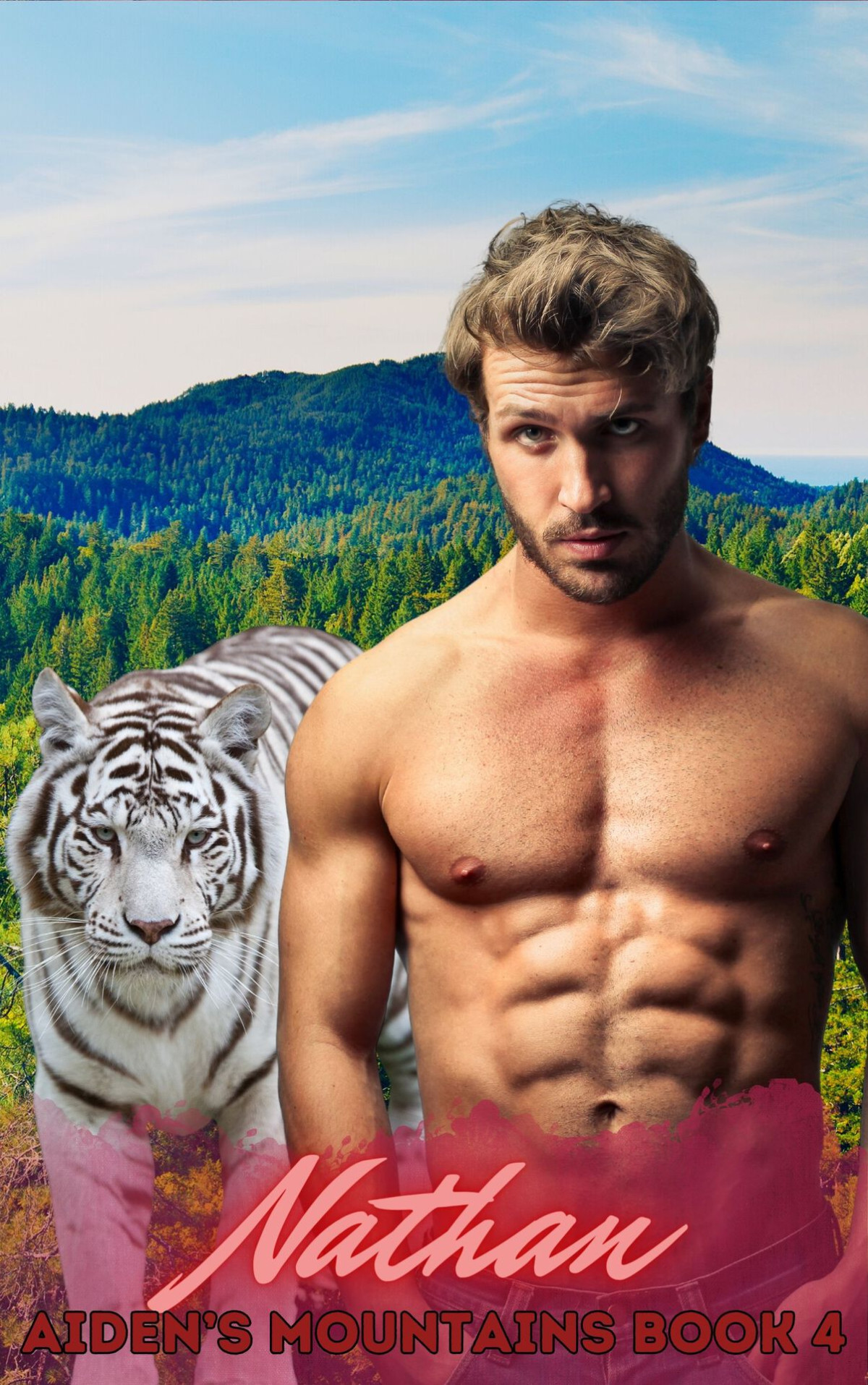 Nathan Aidens Mountains Shifters Book 5 Af Montoya