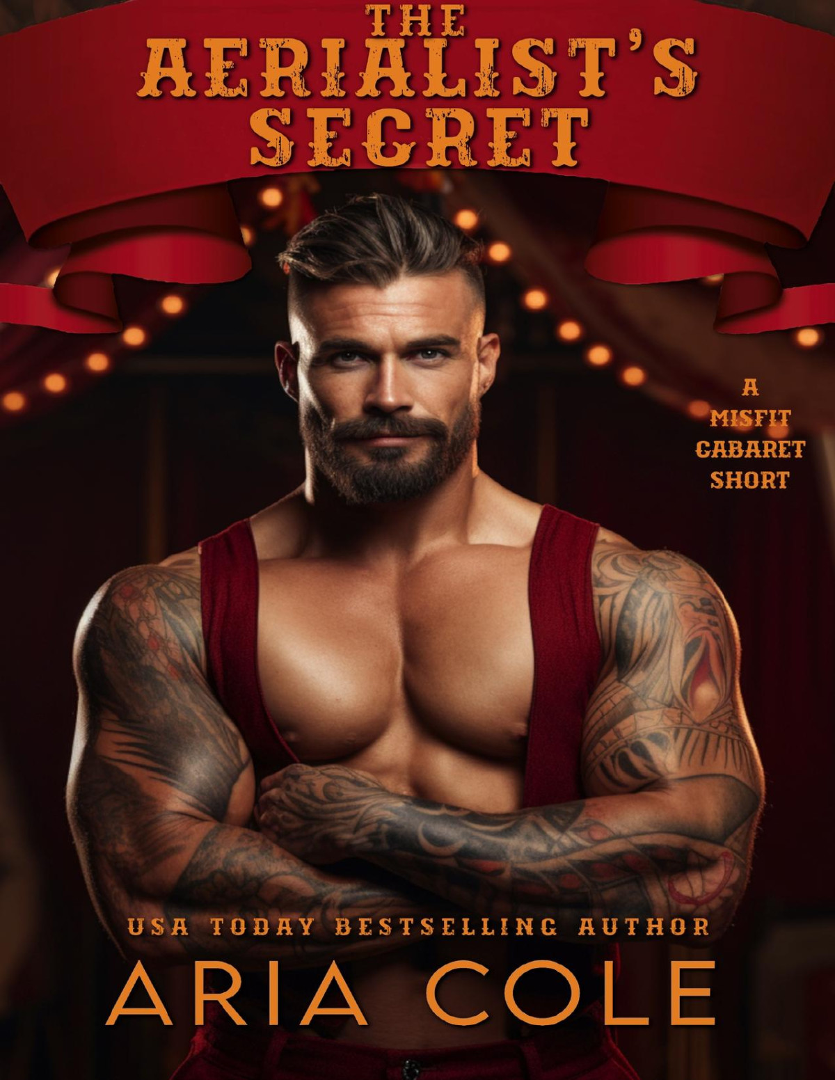 The Aerialists Secret The Misfit Cabaret Book 5 Aria Cole