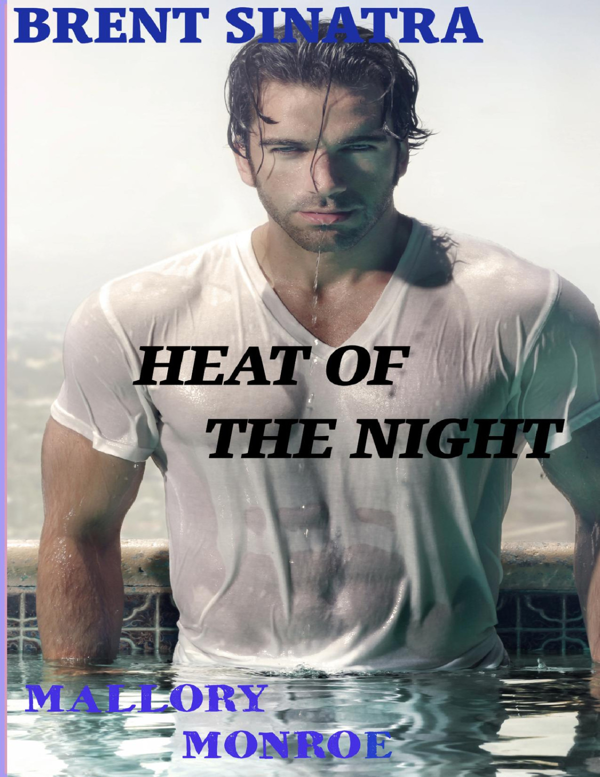 Brent Sinatra Heat Of The Night Mallory Monroe