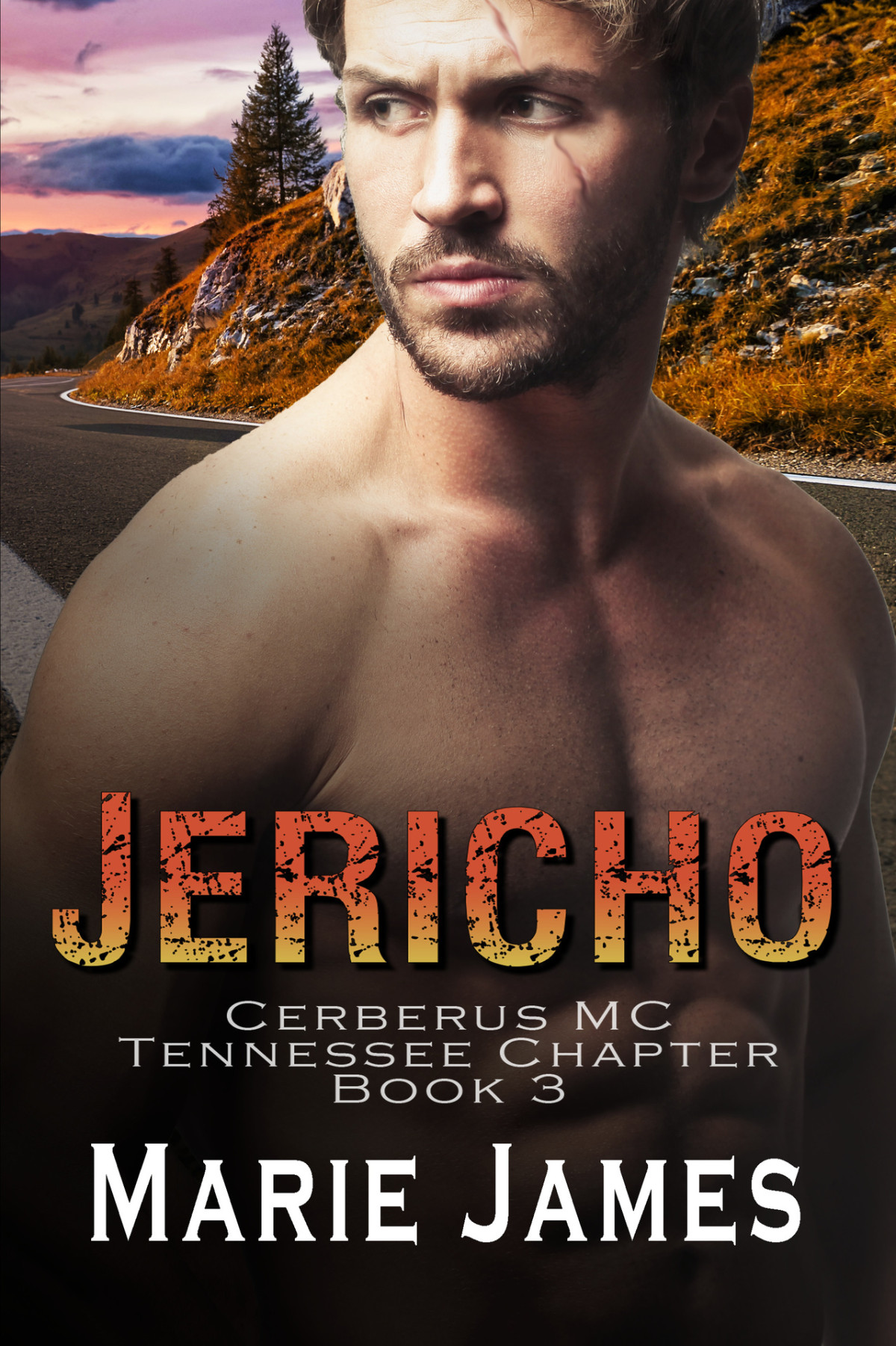 Jericho Cerberus Mc Tennessee Chapter Book 3 Marie James
