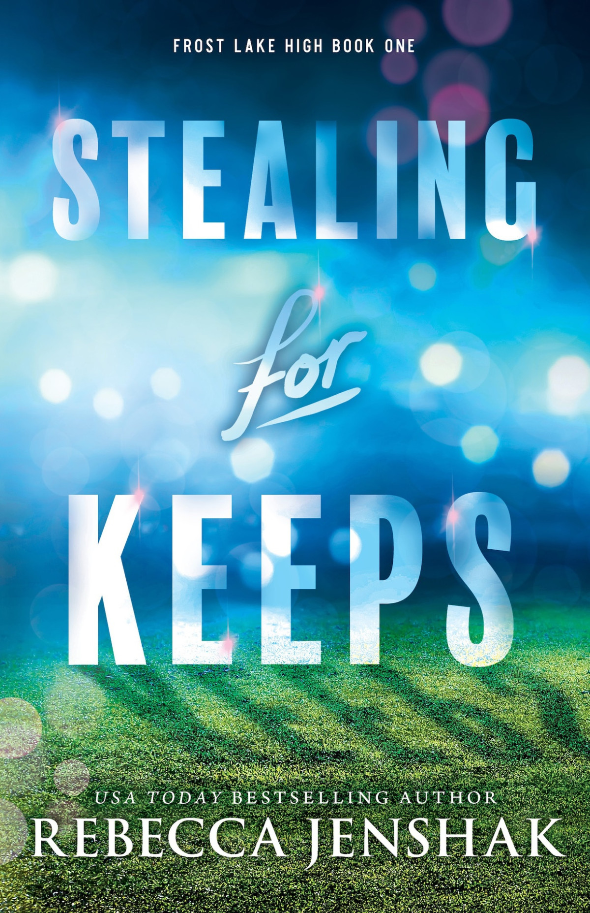 Stealing For Keeps Frost Lake High Rebecca Jenshak
