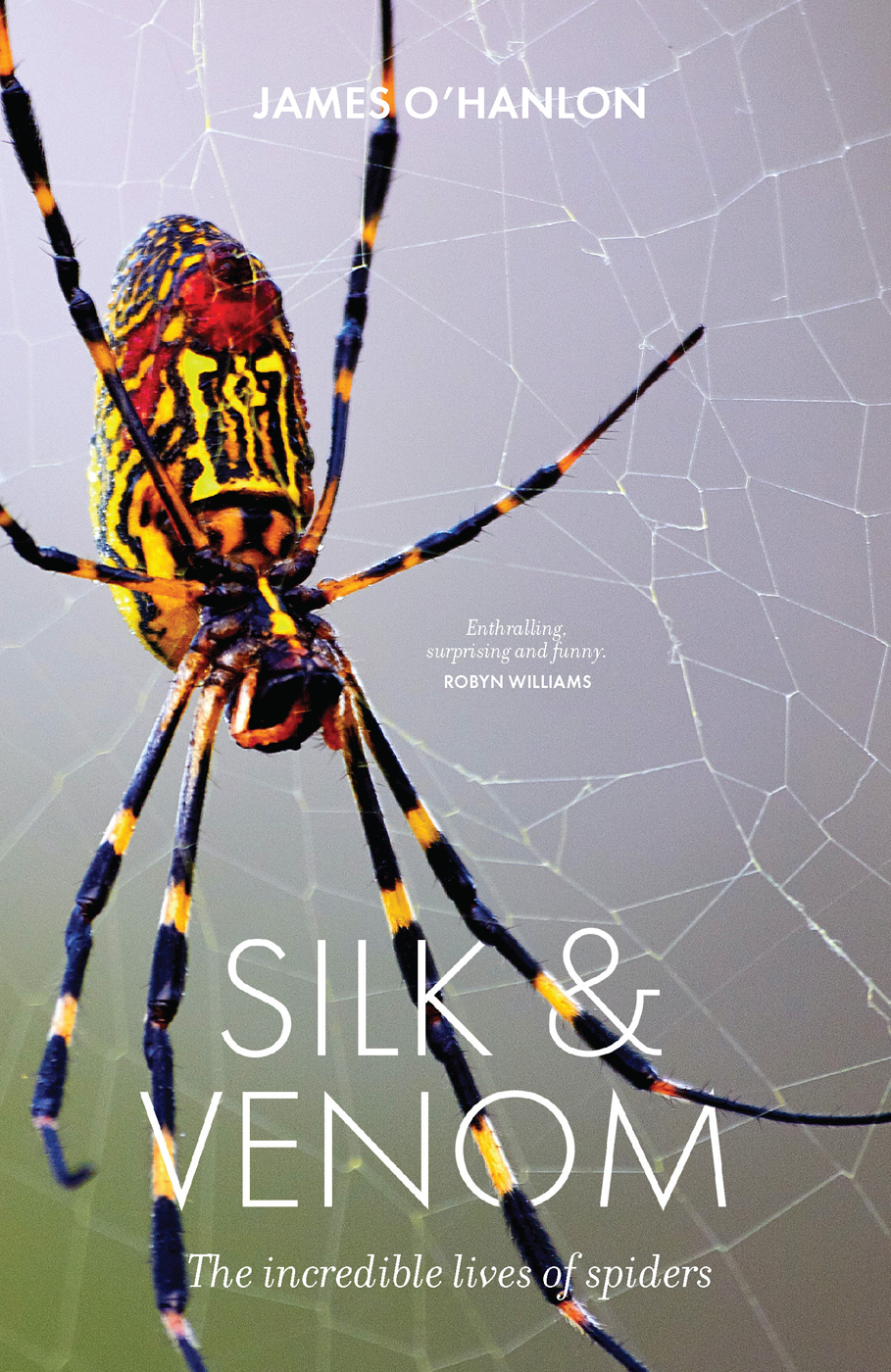 Silk Venom The Incredible Lives Of Spiders James Ohanlon