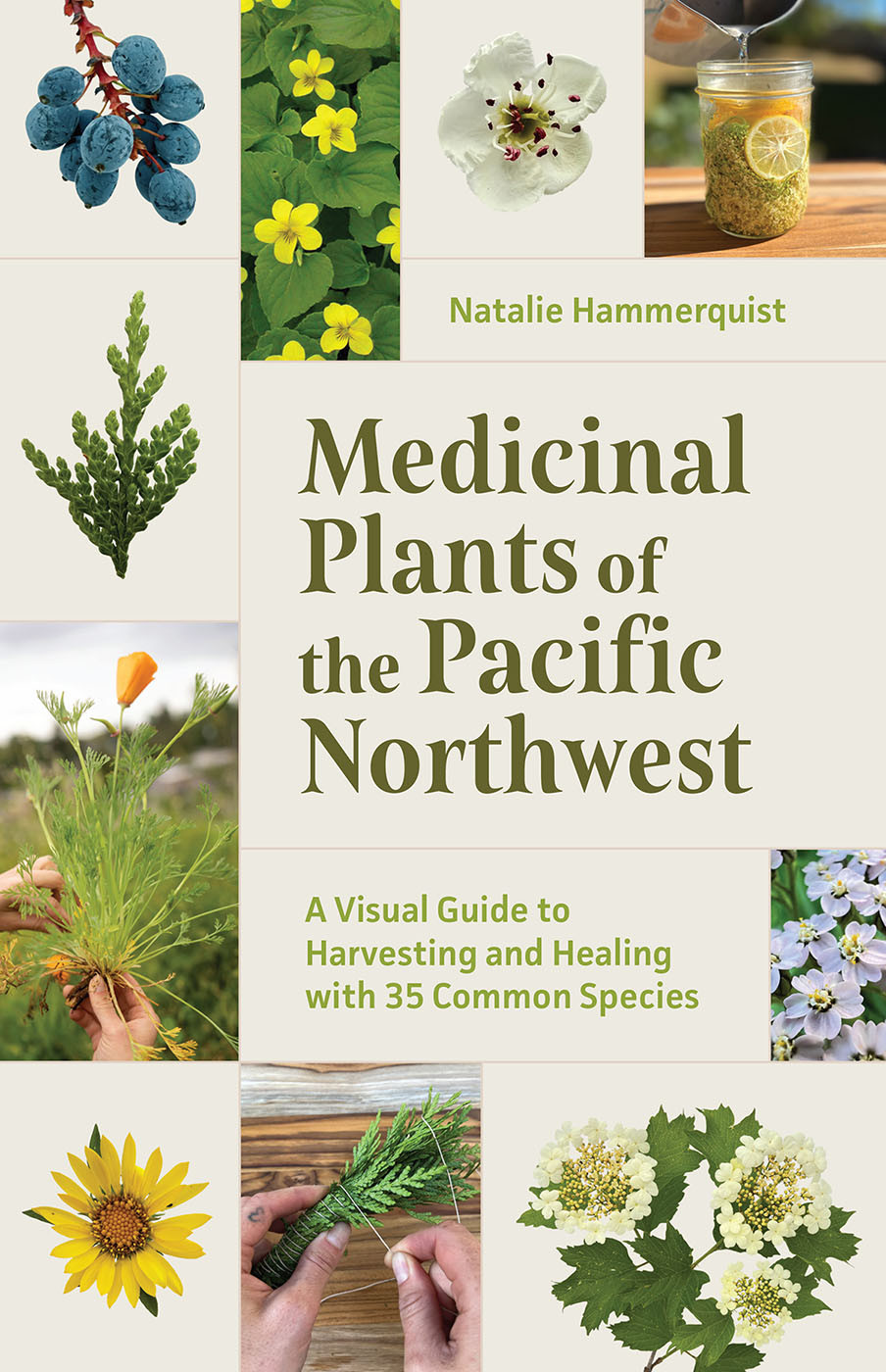 Medicinal Plants Of The Pacific Northwest A Visual Guide To Harvesting And Healing With 35 Common Species Natalie Hammerquist
