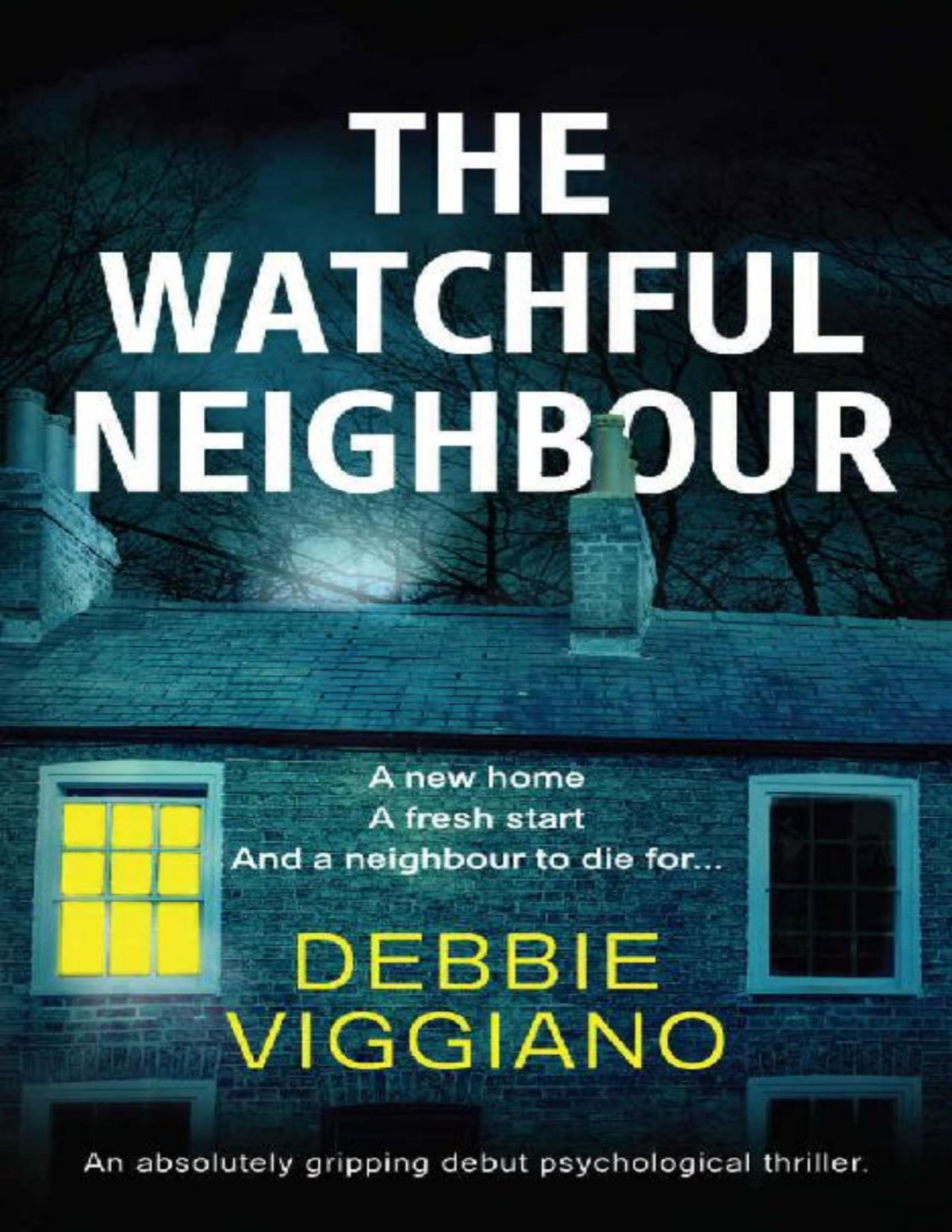 The Watchful Neighbour Debbie Viggiano Viggiano Debbie