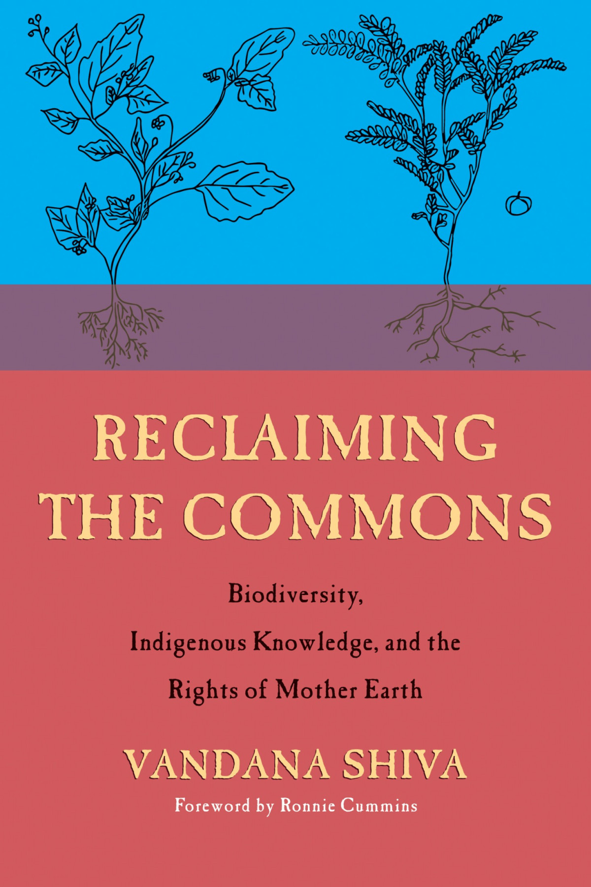 Reclaiming The Commons Vandana Shiva Shiva Vandana