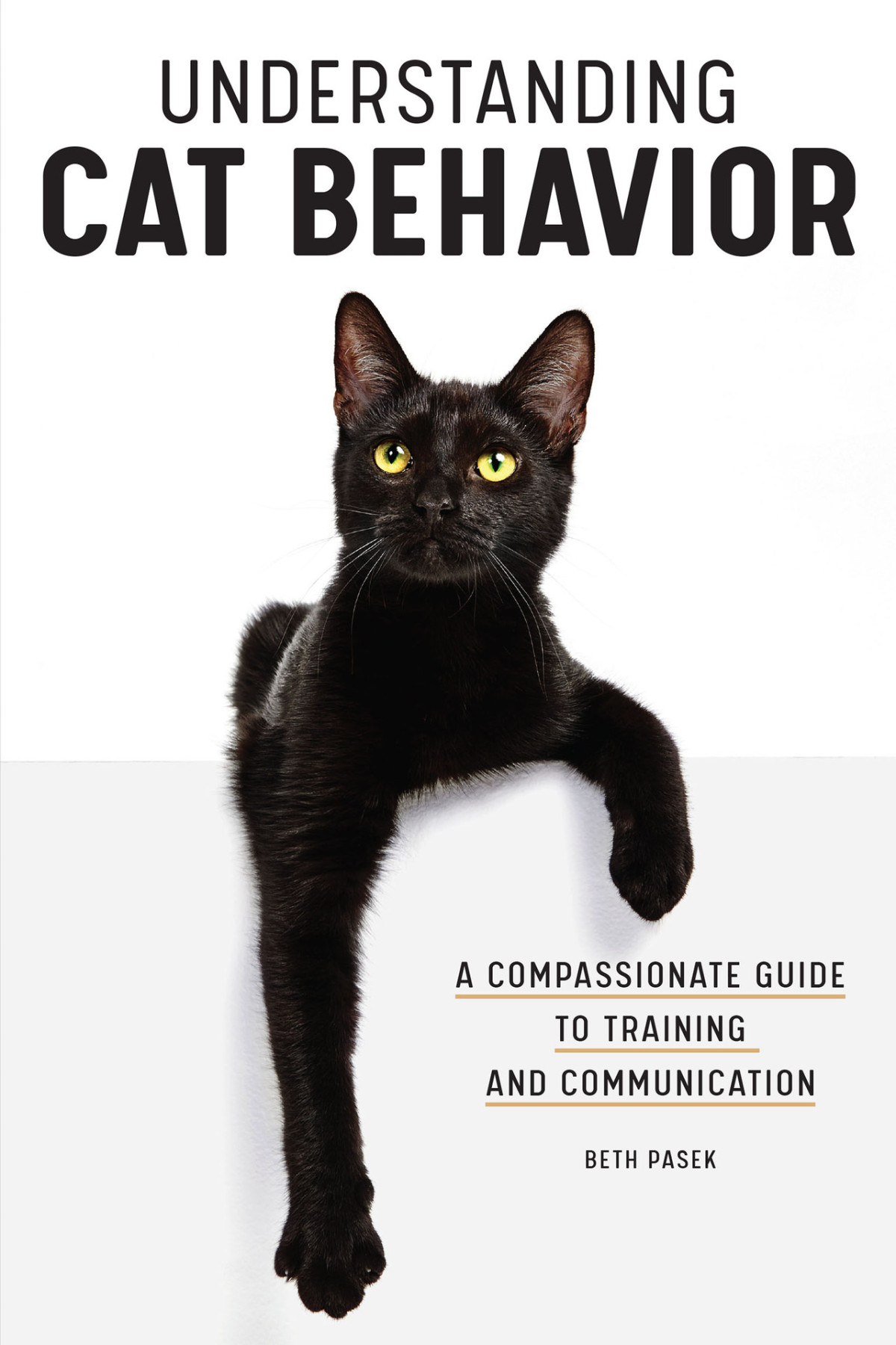 Understanding Cat Behavior A Compassionate Guide To Training And Communication Beth Pasek Pasek