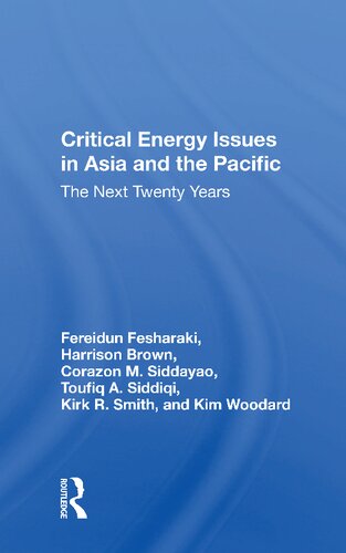 Critical Energy Issues In Asia And The Pacific The Next Twenty Years 1 Toufiq A Siddiqi