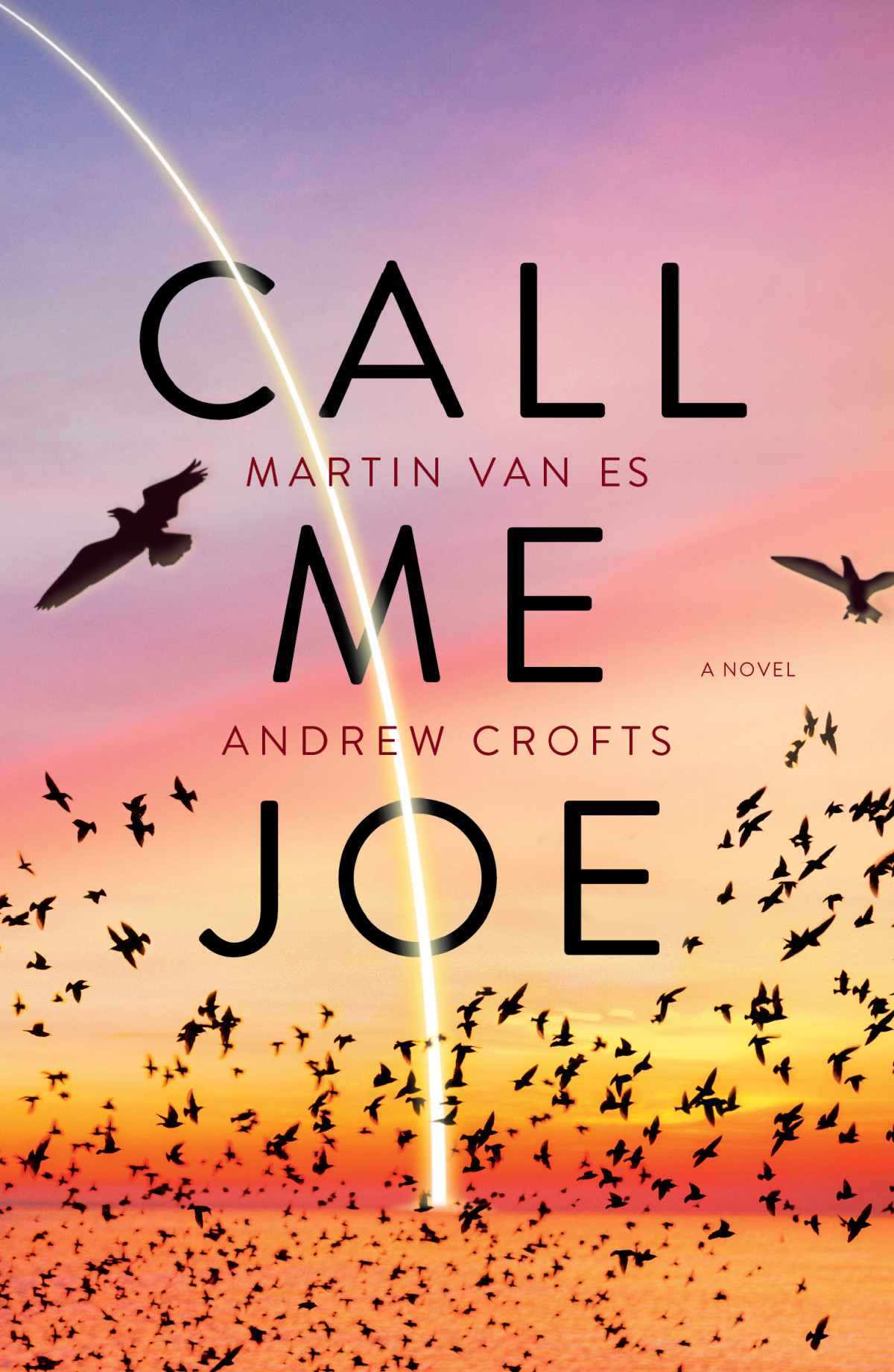 Call Me Joe Martin Van Es