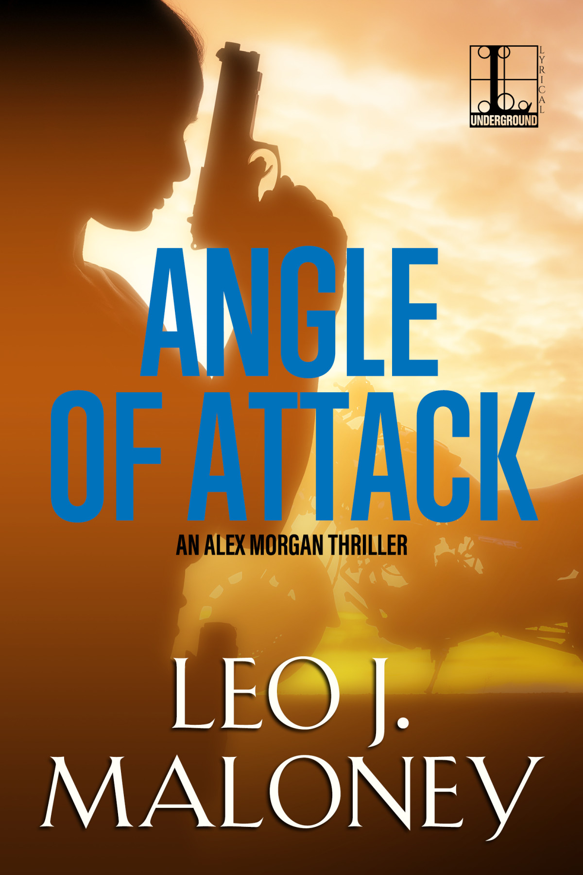 Angle Of Attack Leo J Maloney