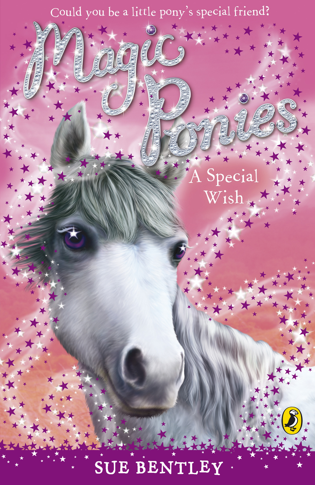 Magic Ponies A Special Wish Sue Angela Swan Bentley Bentley
