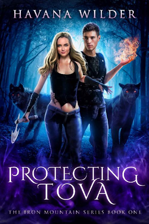 Protecting Tova Iron Mountain 1 1st Edition Havana Wilder