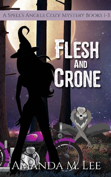 Flesh Crone Spells Angels Mystery 13 Amanda M Lee