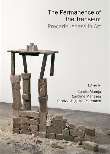 The Permanence Of The Transient Precariousness In Art Camila Maroja Caroline Menezes