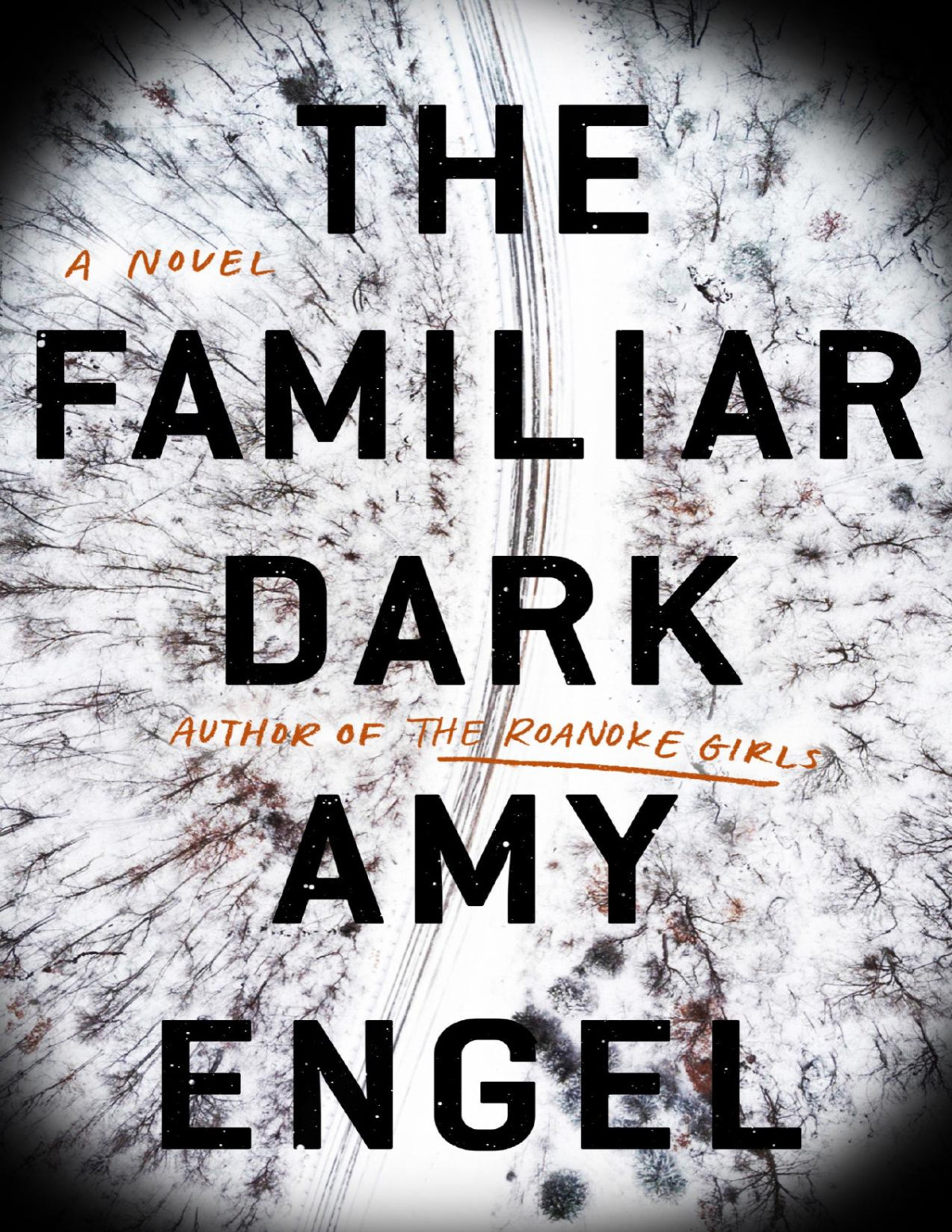 The Familiar Dark Amy Engel Engel Amy