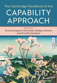 Cambridge Handbook Of The Capability Approach Chiappero Martinetti