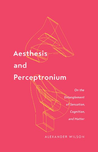 Aesthesis And Perceptronium On The Entanglement Of Sensation Cognition And Matter Alexander Wilson