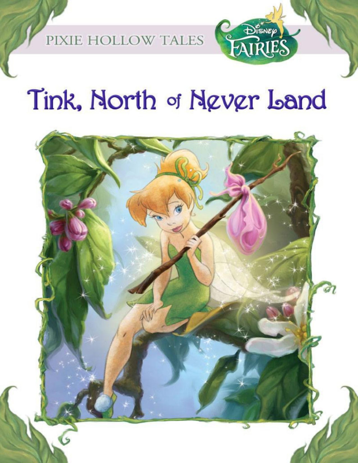 Disney Fairies Tink North Of Never Land Kiki Thorpe Thorpe