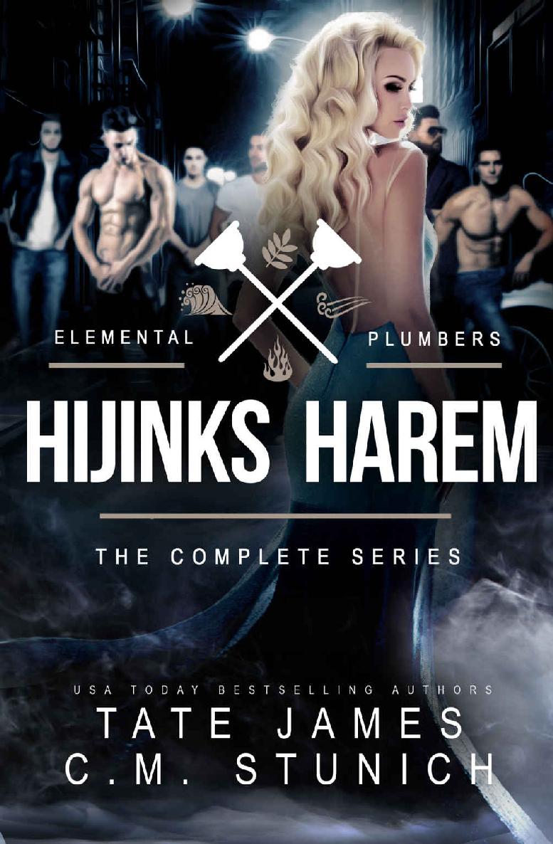 Hijinks Harem The Complete Series Hijinks Harem 13 1st Edition Cm Stunich