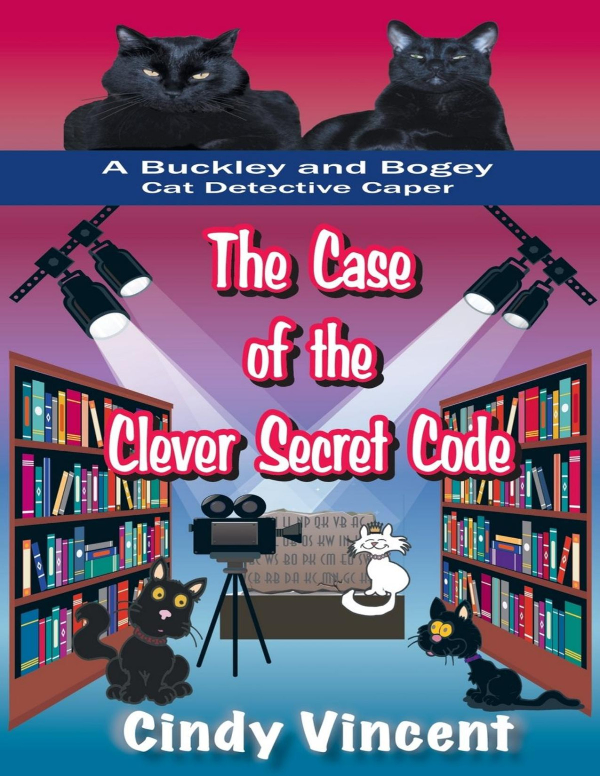 The Case Of The Clever Secret Code Cindy Vincent Vincent Cindy