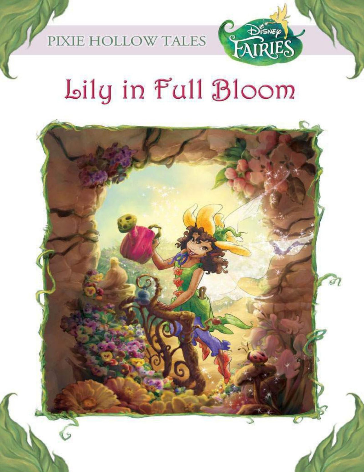 Lily In Full Bloom Laura Driscoll Driscoll Laura