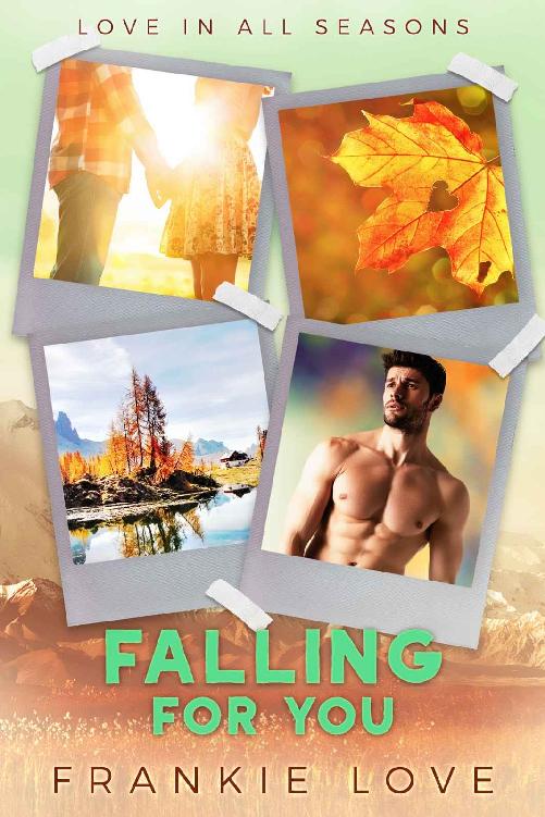 Falling For You Love In All Seasons 2 1st Edition Frankie Love Love