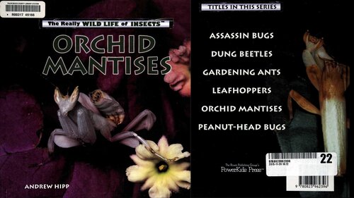 Orchid Mantises Hipp Andrew