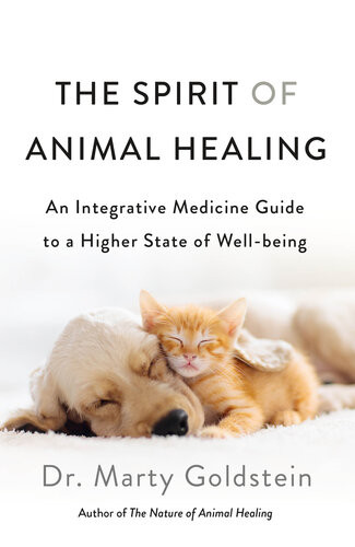 The Spirit Of Animal Healing An Integrative Medicine Guide To A Higher State Of Wellbeing Martin Goldstein