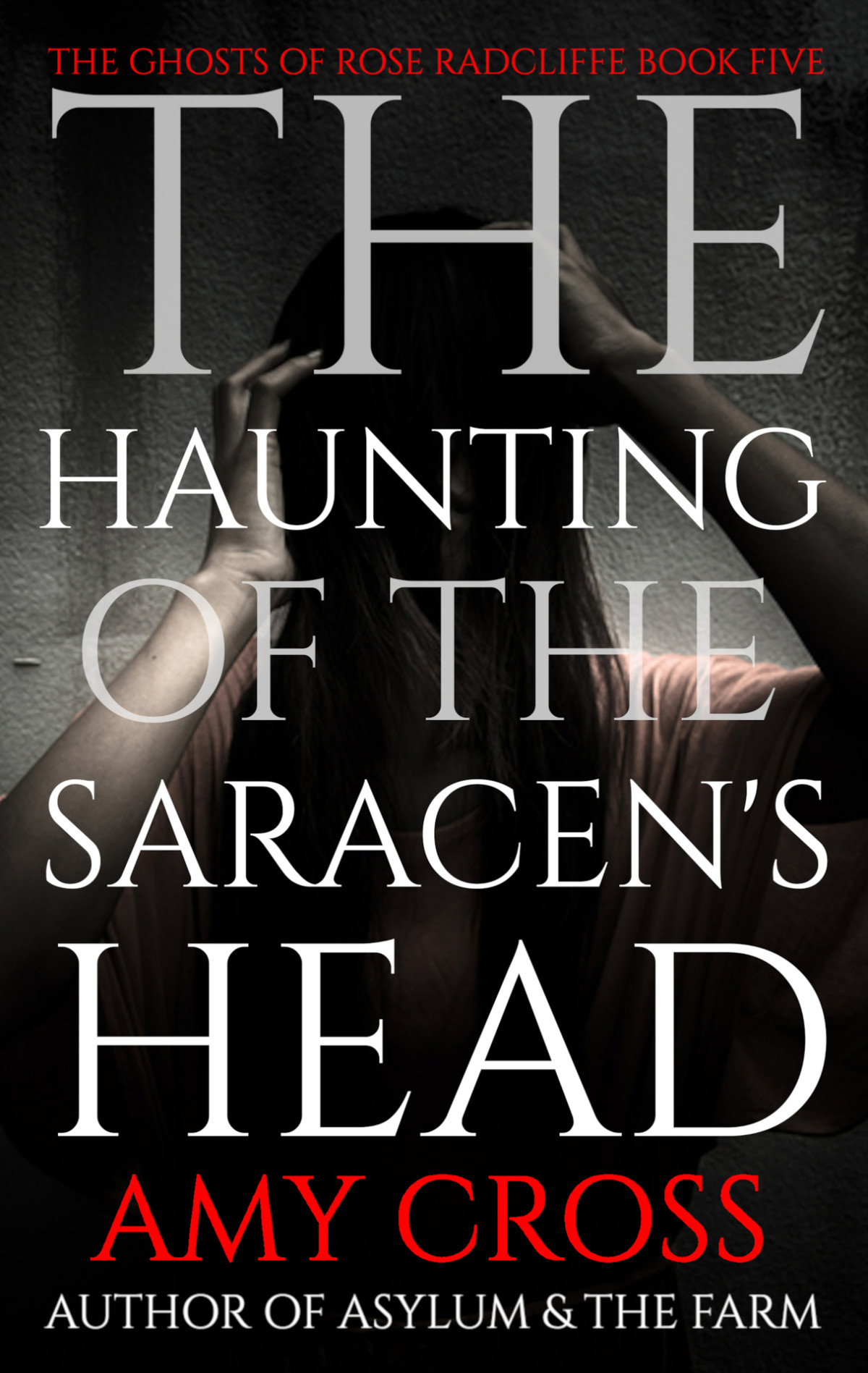 The Haunting Of The Saracens Head The Ghosts Of Rose Radcliffe Book 5 Amy Cross