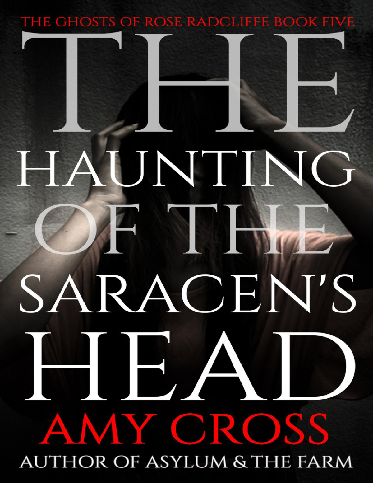 The Haunting Of The Saracens Head The Ghosts Of Rose Radcliffe Book 5 Amy Cross