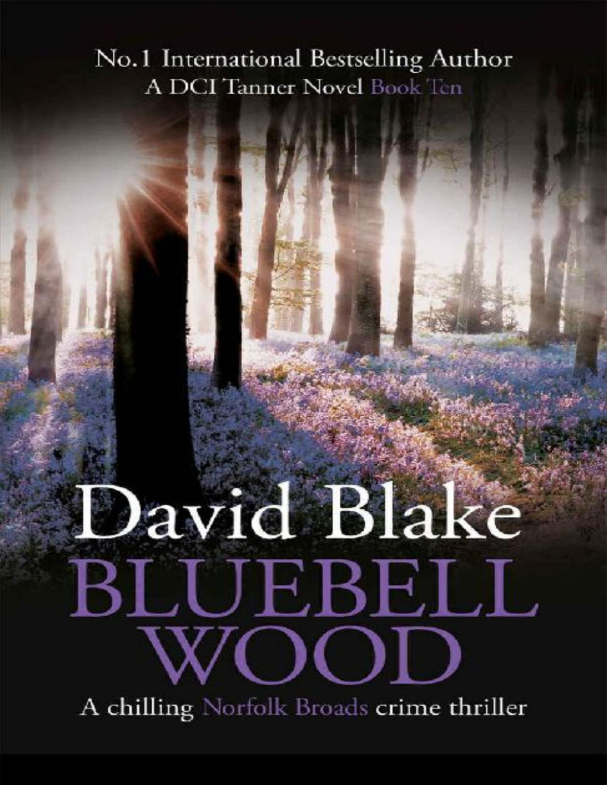 Bluebell Wood A Chilling Norfolk Broads Crime Thriller David Blake