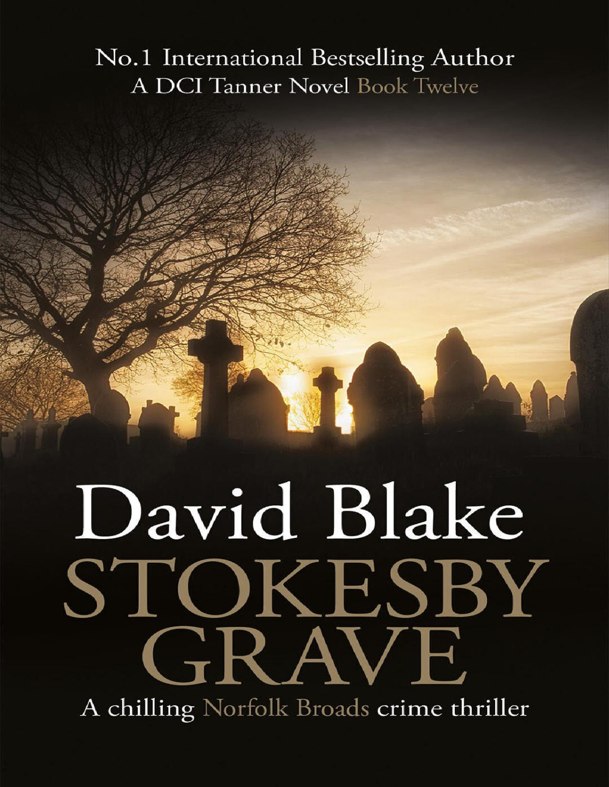 Stokesby Grave A Chilling Norfolk Broads Crime Thriller Di Tanner Norfolk Broads Murder Mystery Series Book 12 David Blake