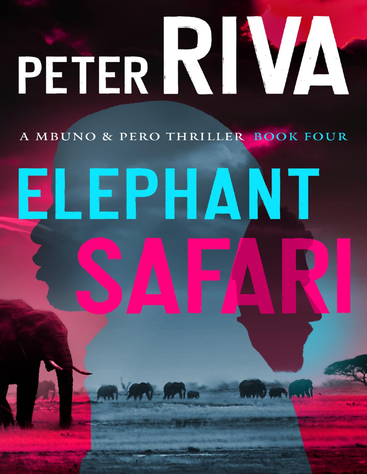 Elephant Safari Peter Riva