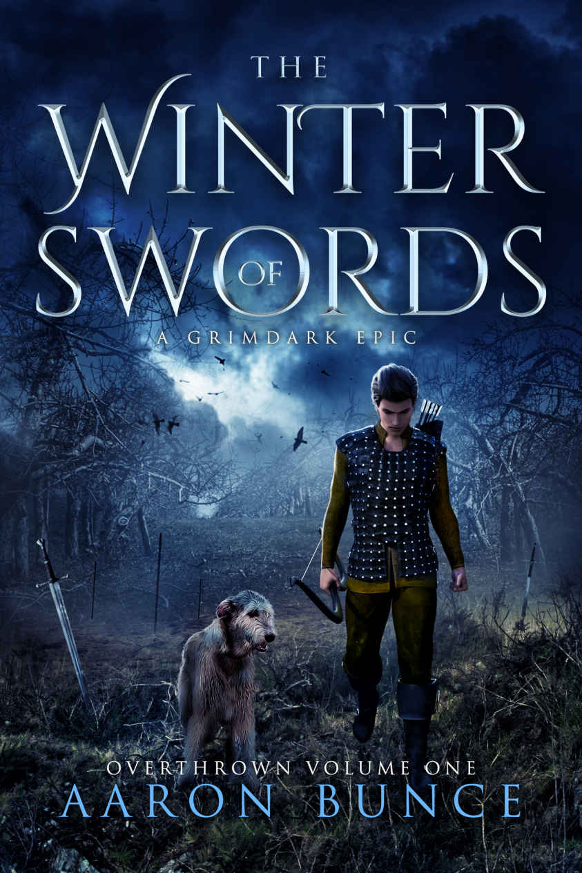 The Winter Of Swords Aaron Bunce Bunce Aaron
