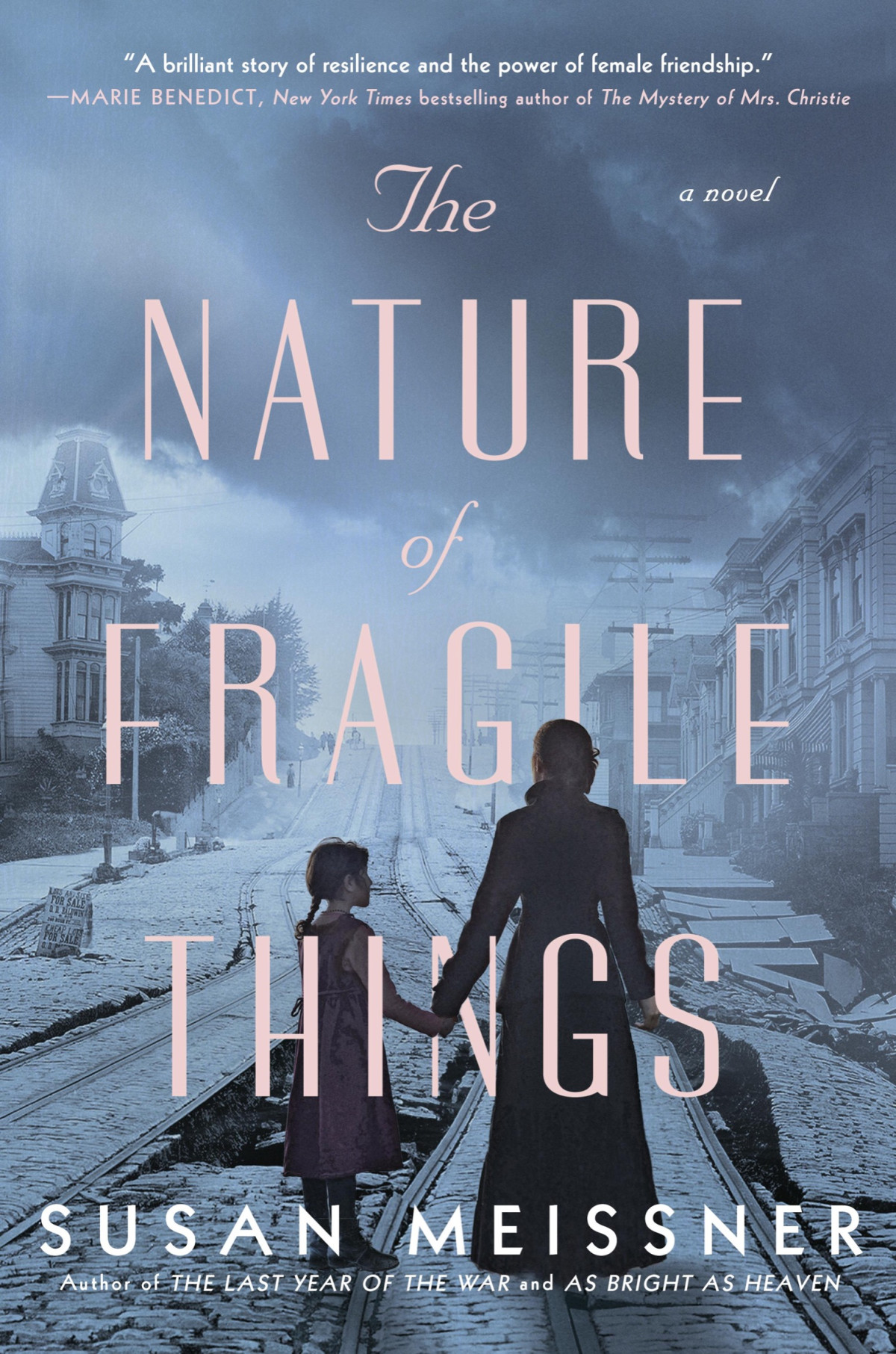 The Nature Of Fragile Things Susan Meissner Meissner Susan