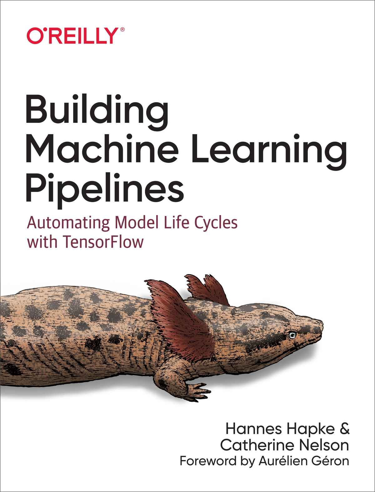 Building Machine Learning Pipelines Hannes Hapke Catherine Nelson