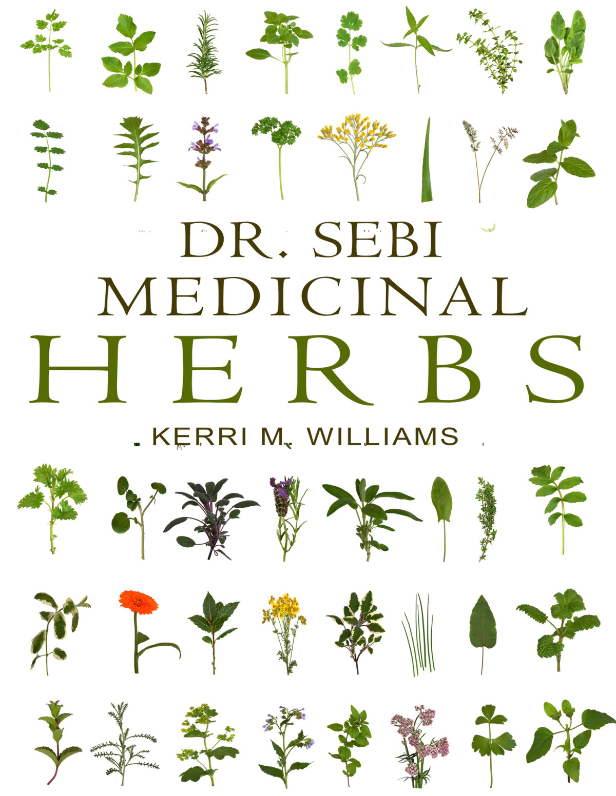Dr Sebi Medicinal Herbs Healing Uses Dosage Diy Capsules Where To Buy Wildcrafted Herbal Plants For Remedies Detox Cleanse Immunity Weight Loss Lungs Eyes Skin Hair Rejuvenatio Williams