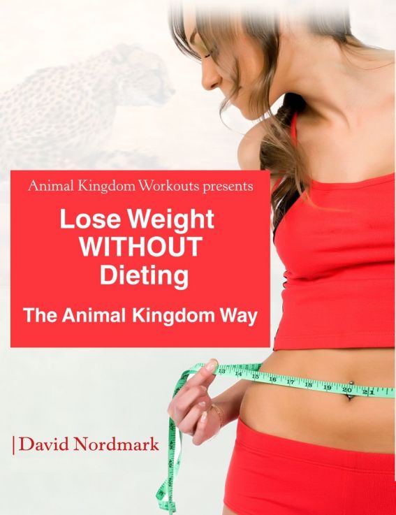 Lose Weight Without Dieting David Nordmark