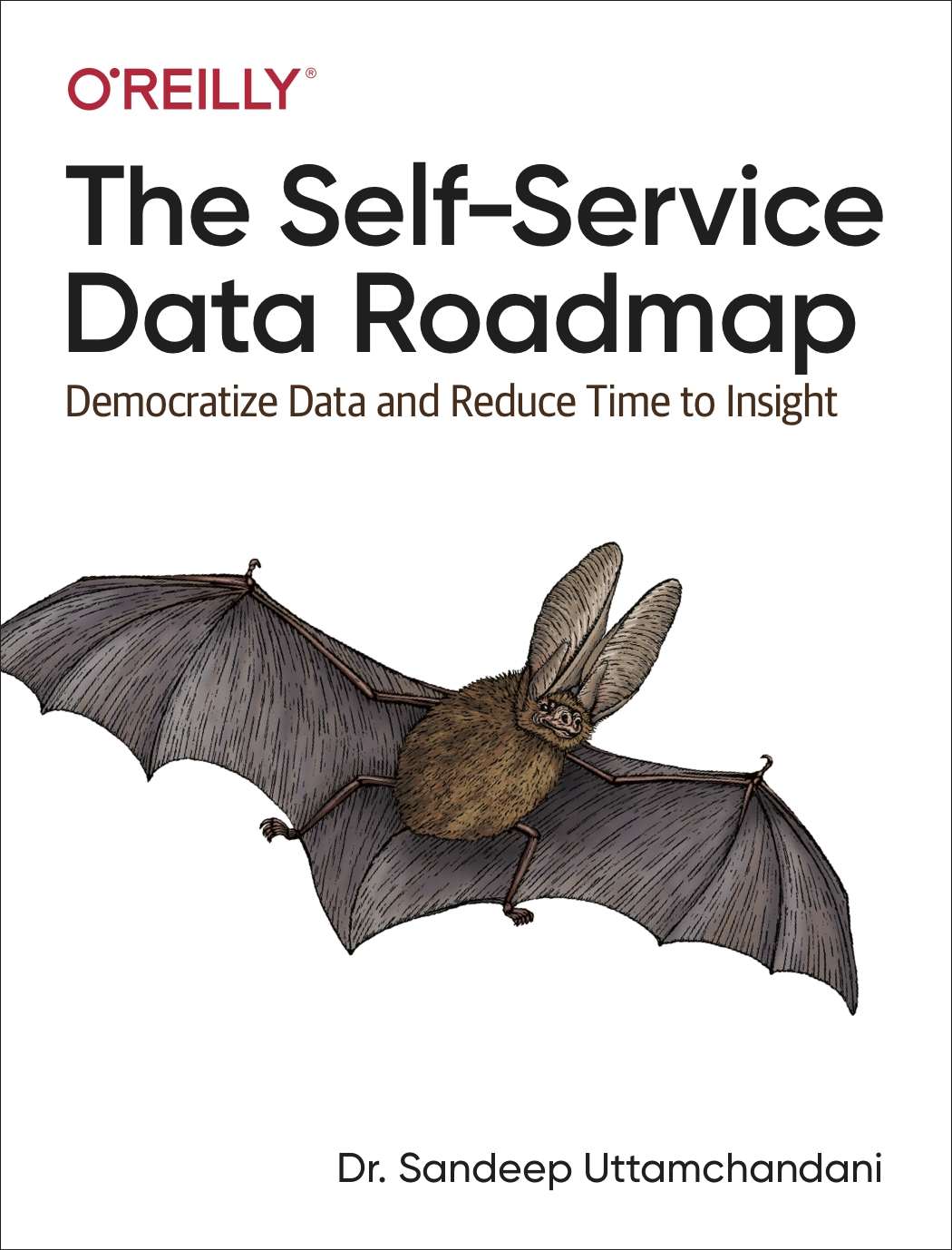 The Selfservice Data Roadmap Sandeep Uttamchandani Uttamchandani