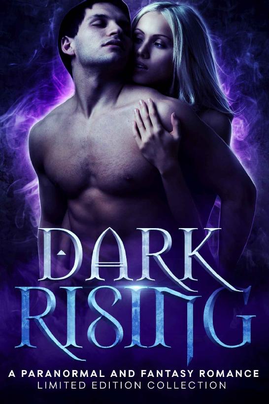 Dark Rising K N Lee