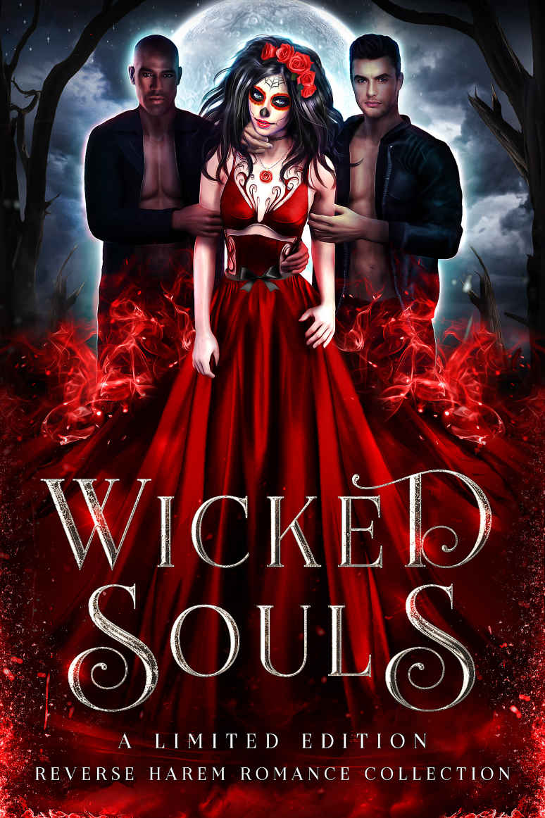 Wicked Souls A Limited Edition Reverse Harem Romance Collection 1st Edition Tiegan Clyne