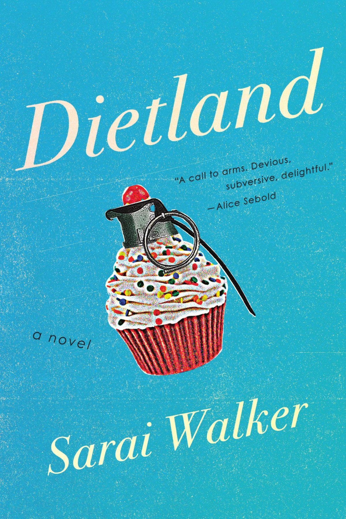 Dietland Sarai Walker