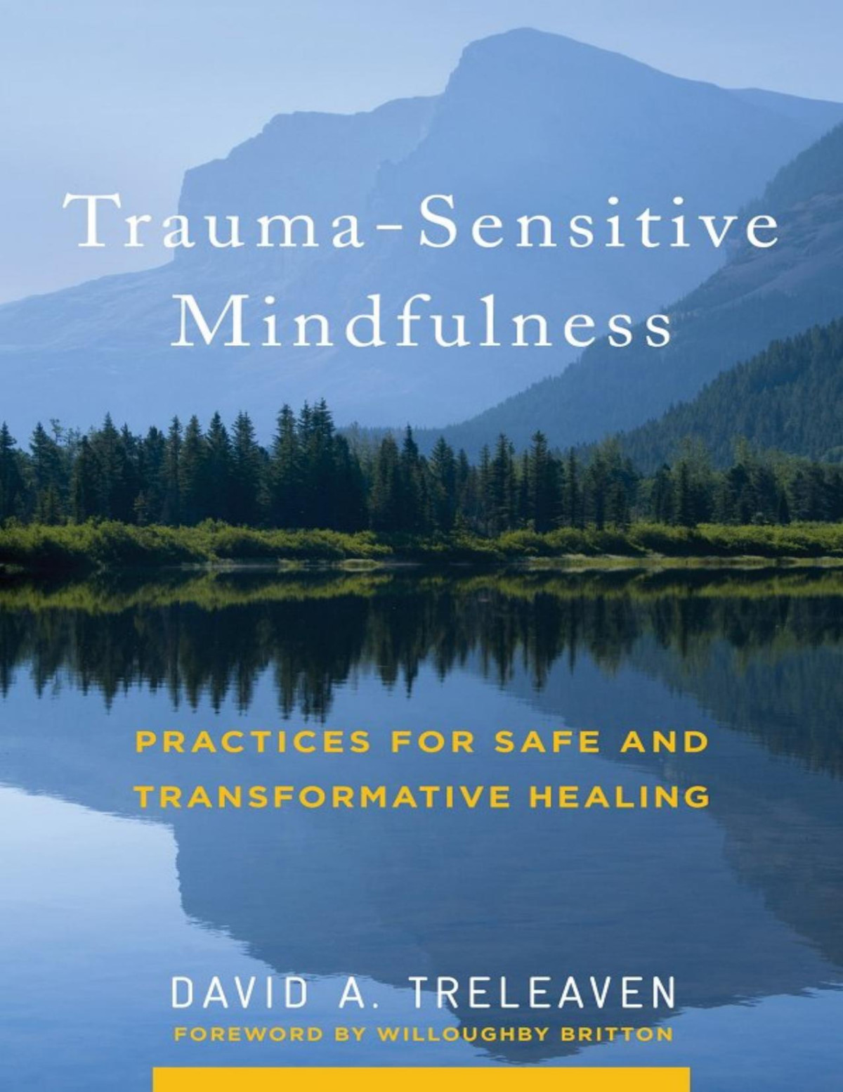 Traumasensitive Mindfulness Practices For Safe And Transformative Healing David A Treleaven